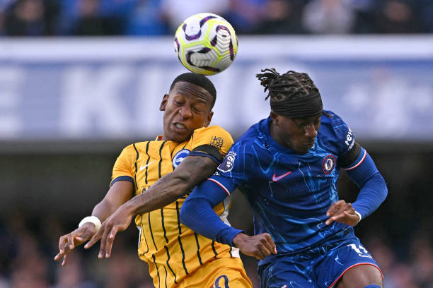 吸引了大量 吸引了大量