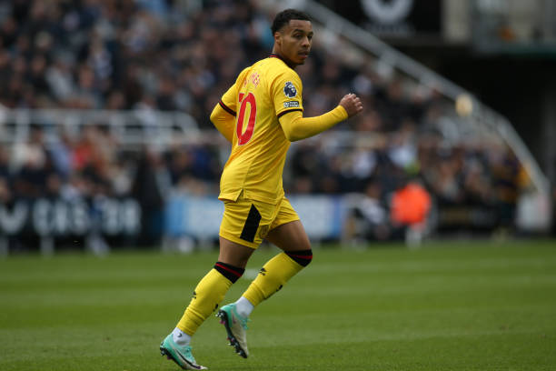 在这一背景 在这一背景